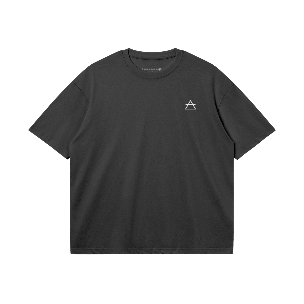 Pothos | Oversized Boxy T-Shirt (2 Colors)