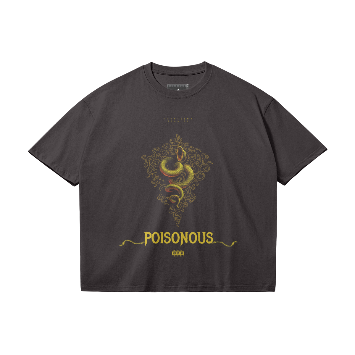 Poisonous | Oversized T-shirt (2 Colors)